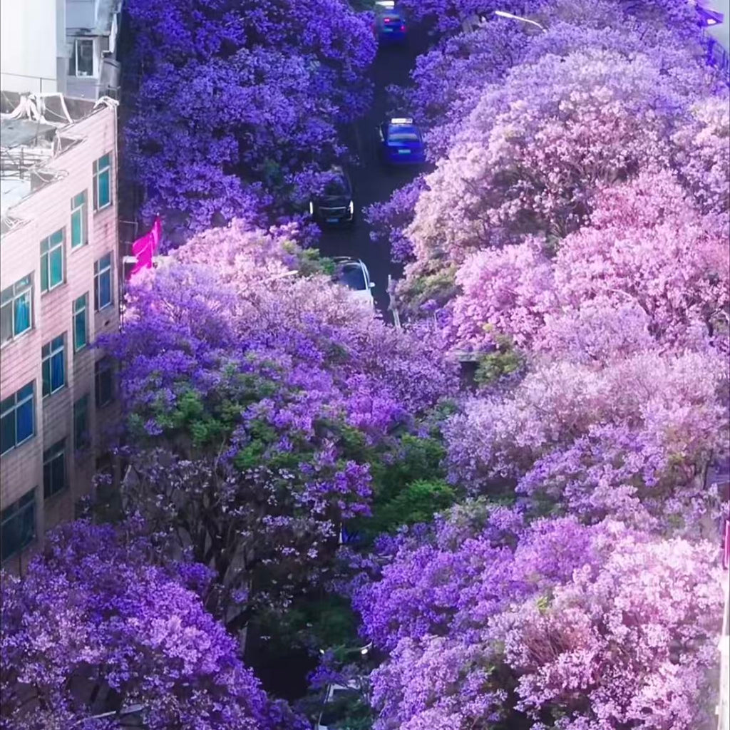 昆明