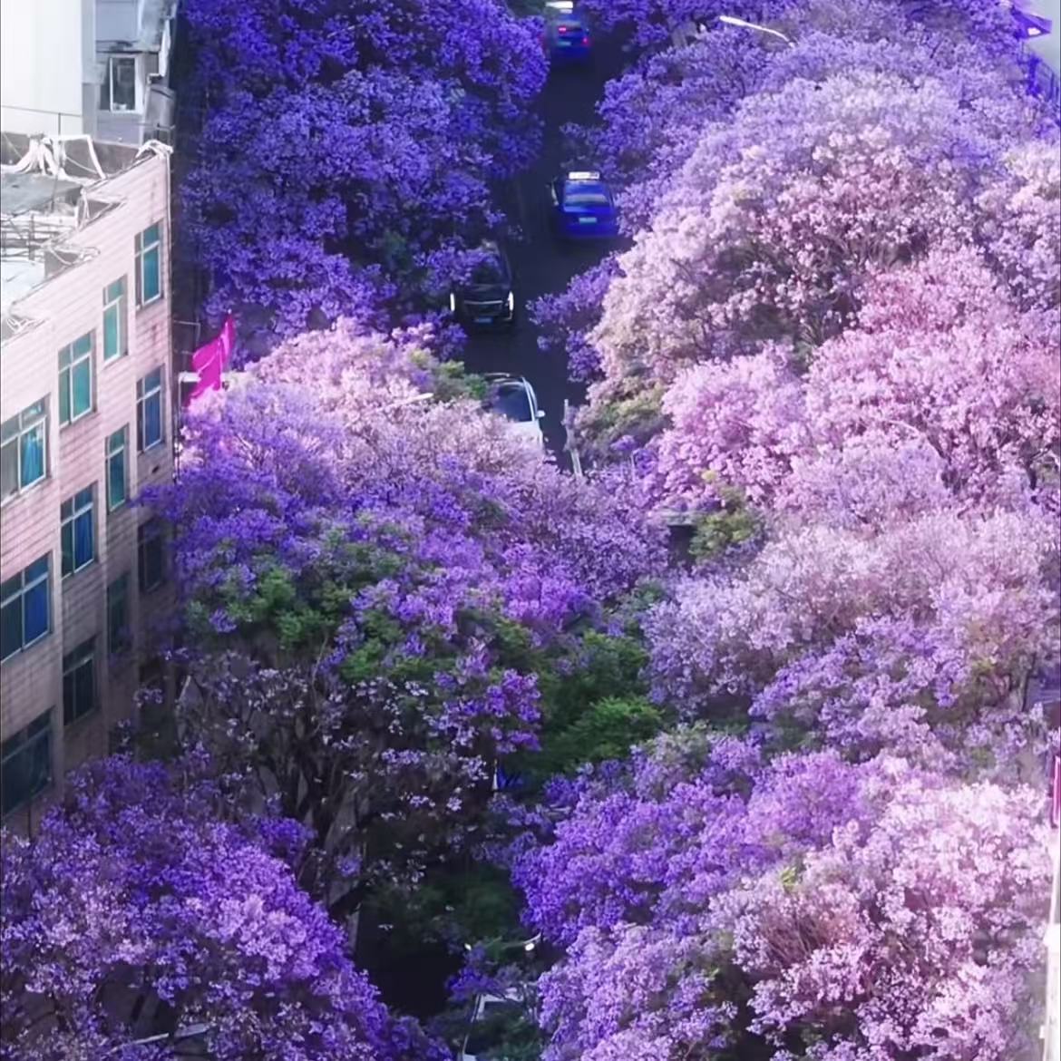 昆明